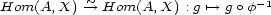  ~ -1 Hom(A, X) --> Hom(A, X) : g '--> g o f 