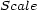 Scale 
