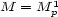 M = M 1p 