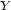 Y 