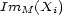 ImM (Xi) 