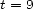 t = 9 