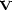 V 